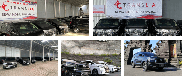 Translia fleet
