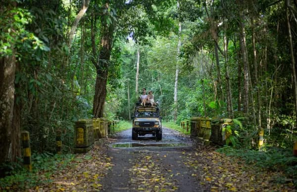Foto pemandangan Taman Nasional Alas Purwo, destinasi wisata Banyuwangi