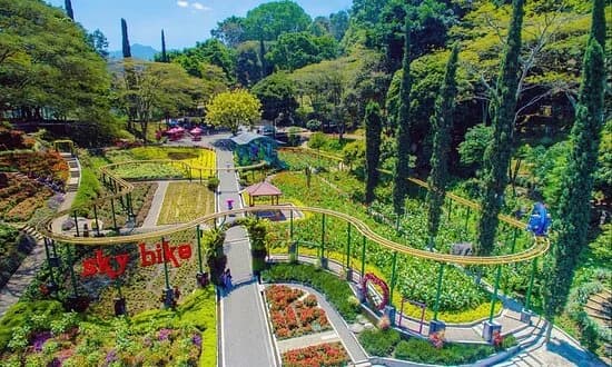 Foto pemandangan Taman Rekreasi Selecta, destinasi wisata Malang